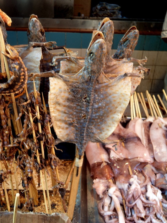 Beijing’s Wangfujing Food Street Lizard on a Stick